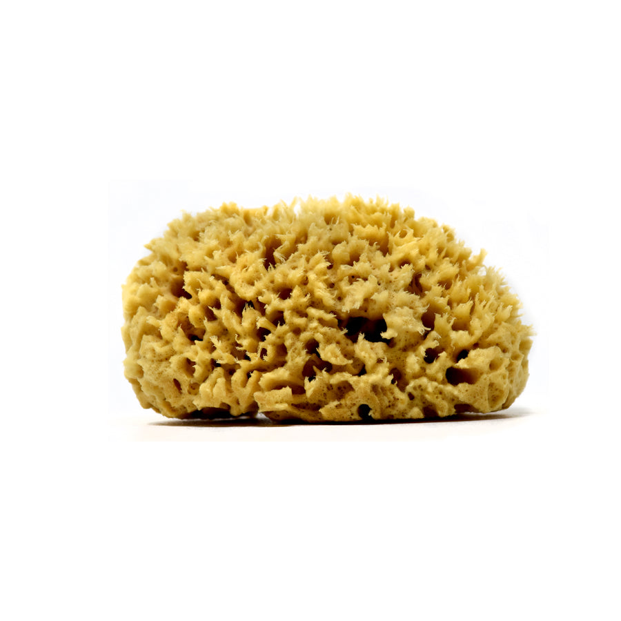 Rock Island Wool Sea Sponge